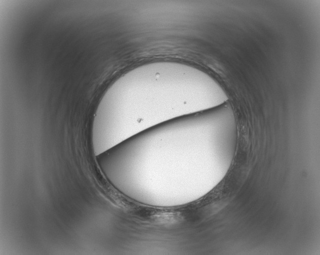 X0000067460499200604070930