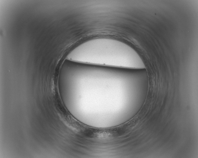 X0000067460500200604070930