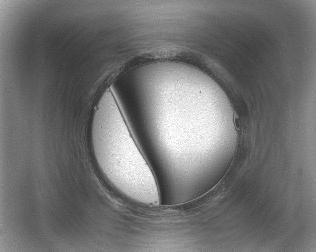 X0000067460501200604070930