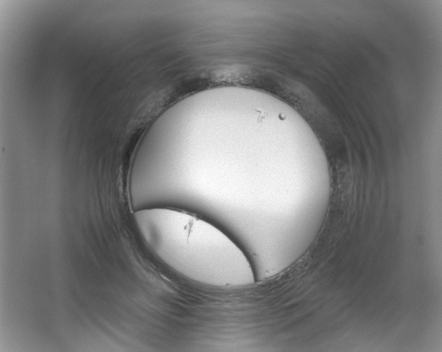 X0000067460502200604070930