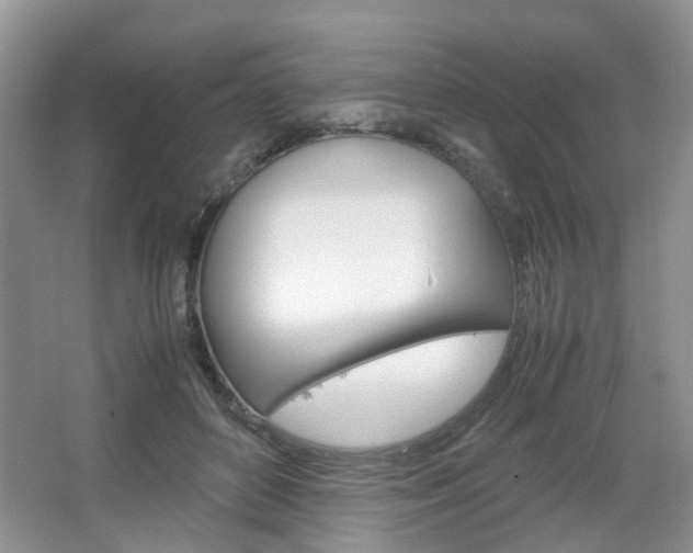 X0000067460504200604070930