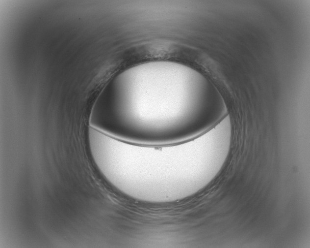 X0000067460505200604070930