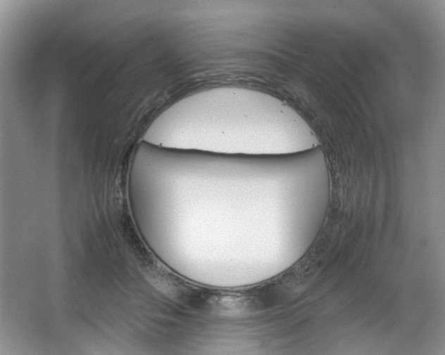 X0000067460506200604070930