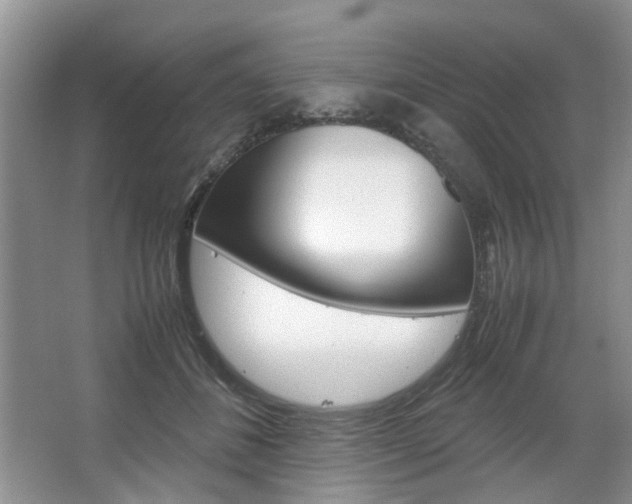 X0000067460508200604070930