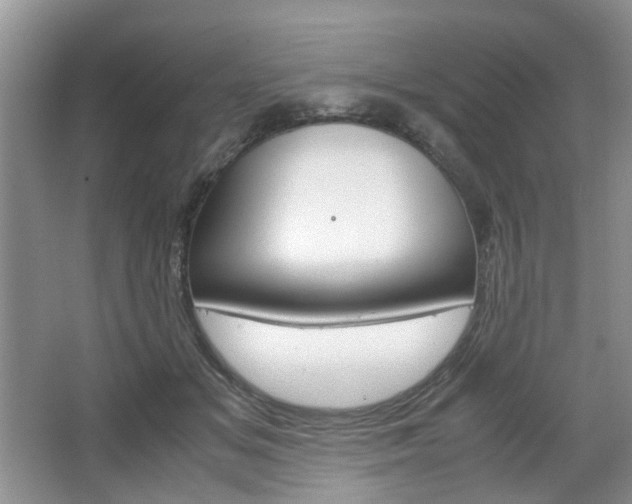 X0000067460509200604070930