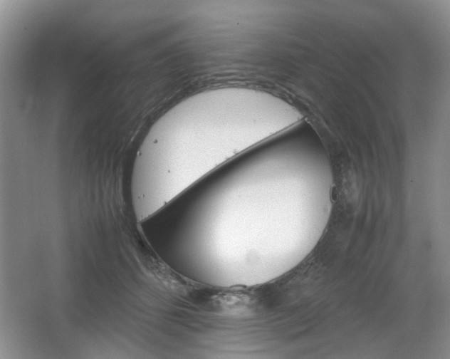 X0000067460512200604070930