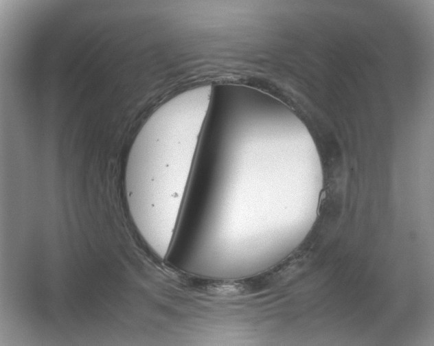 X0000067460513200604070930