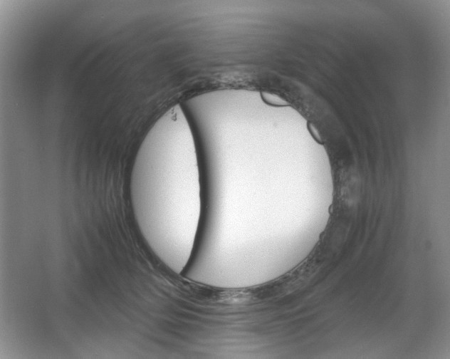 X0000067460514200604070930