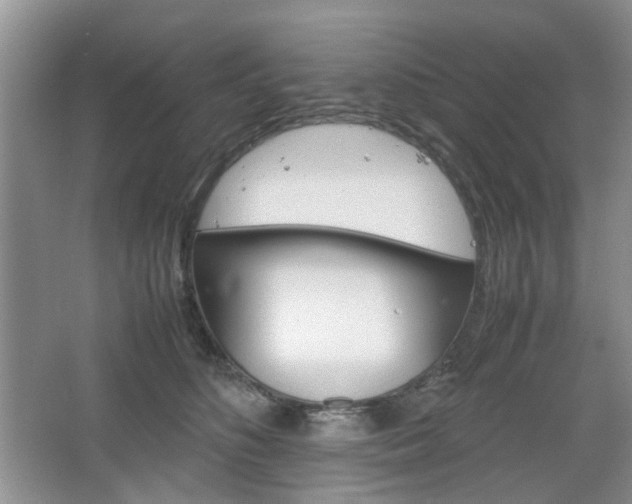 X0000067460516200604070930