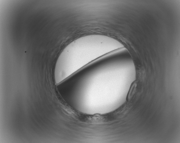 X0000067460517200604070930