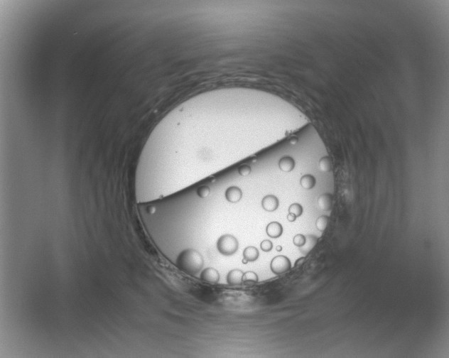 X0000067460519200604070930