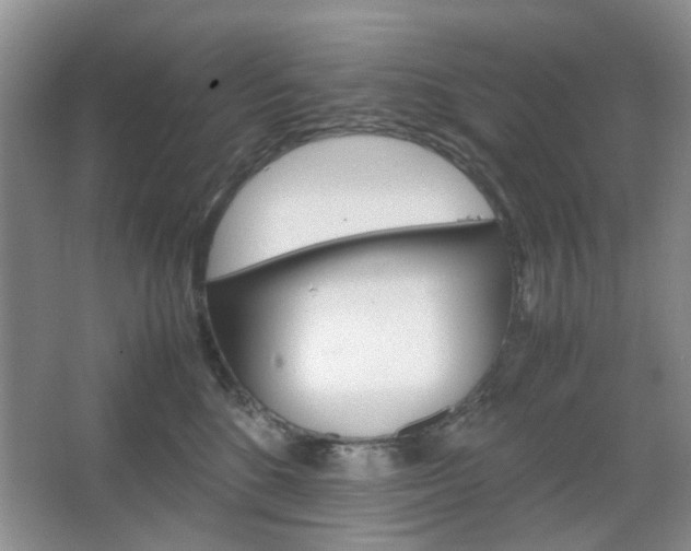 X0000067460520200604070930