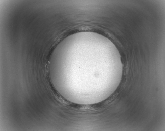 X0000067460521200604070930