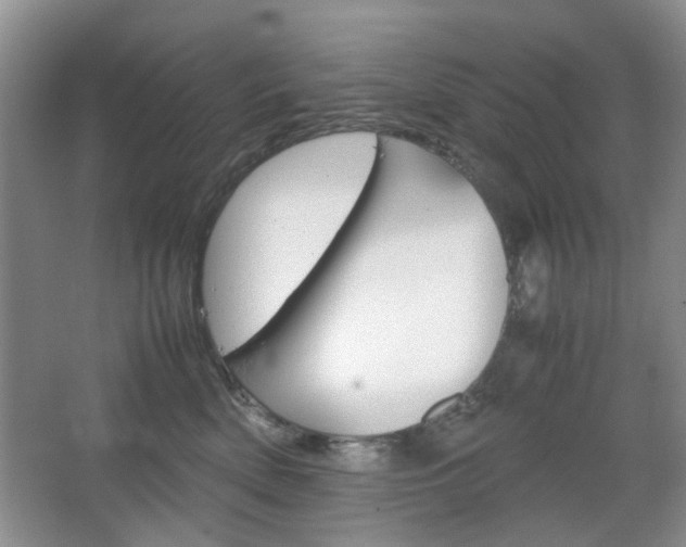 X0000067460522200604070930