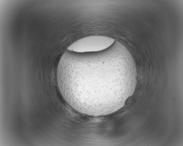 X0000067460523200604070930