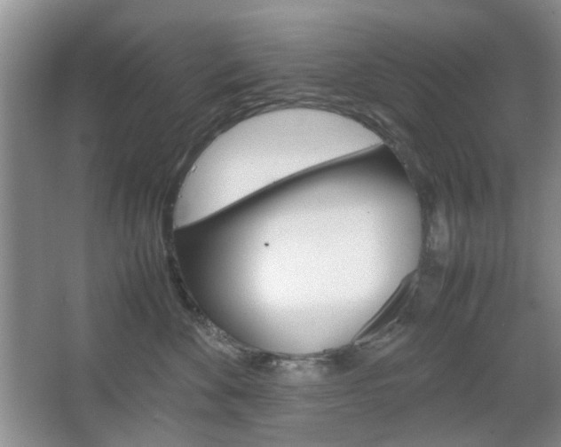 X0000067460524200604070930