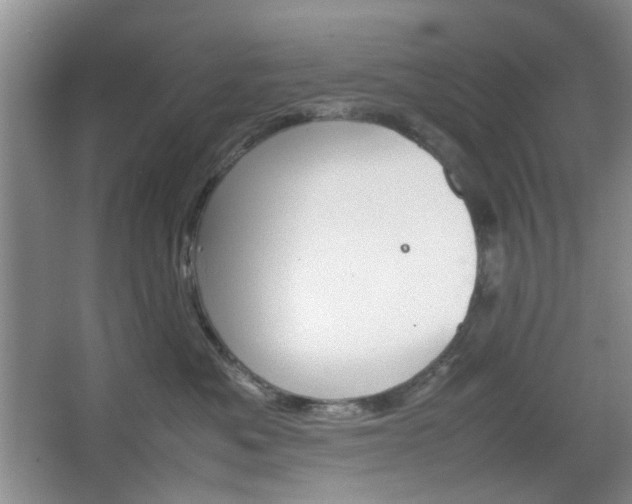 X0000067460525200604070930