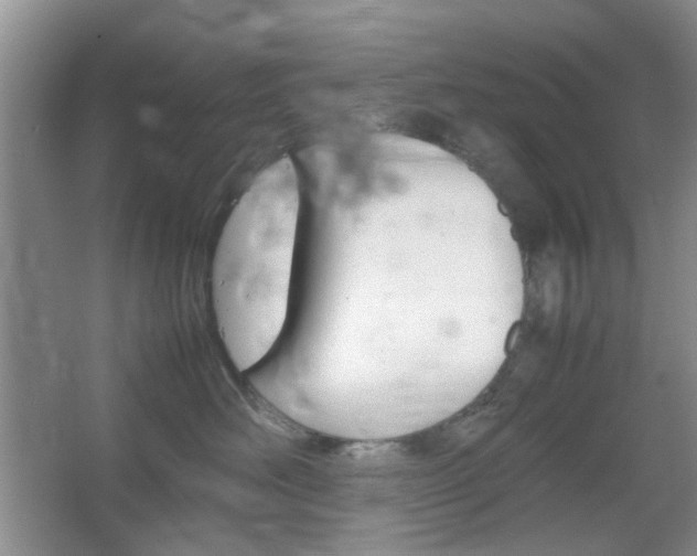 X0000067460526200604070930