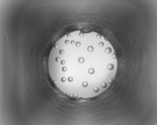 X0000067460527200604070930