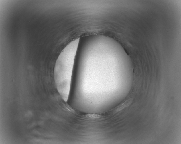 X0000067460528200604070930