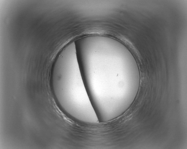 X0000067460529200604070929