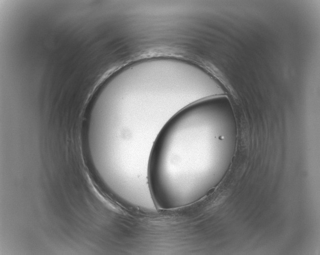 X0000067460530200604070929