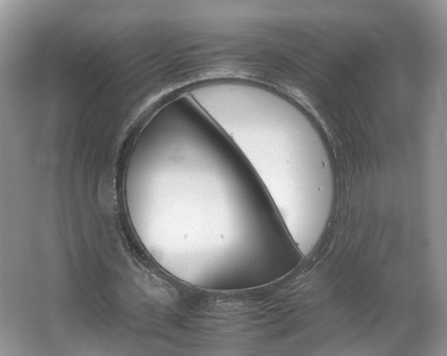 X0000067460531200604070929