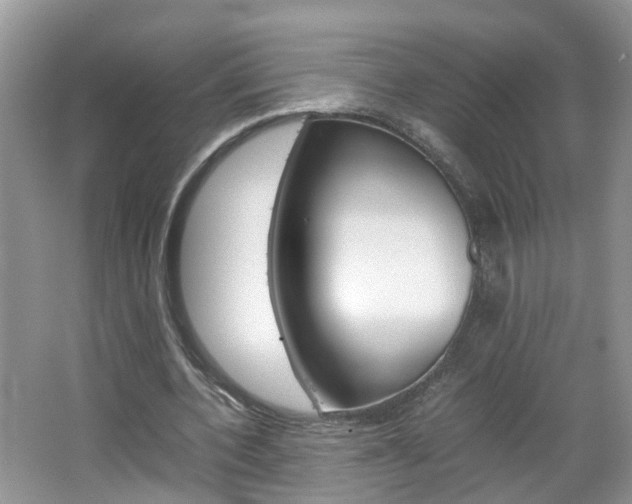 X0000067460532200604070929