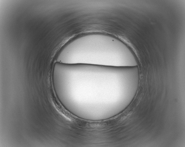 X0000067460533200604070929