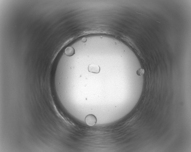 X0000067460534200604070929