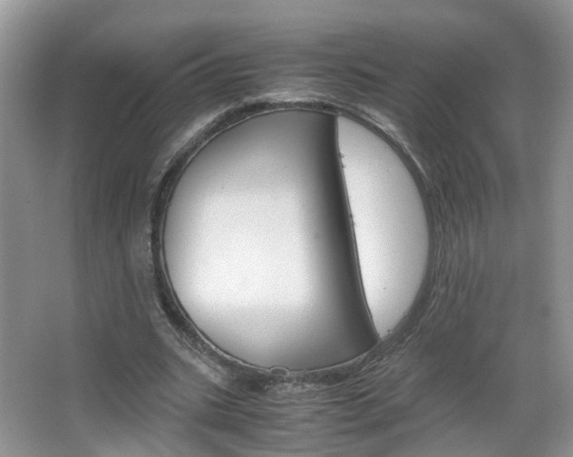 X0000067460535200604070929