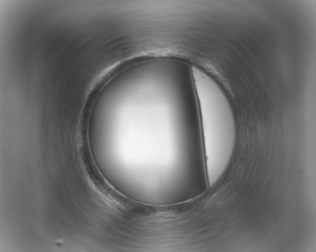 X0000067460536200604070929