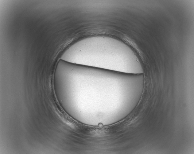 X0000067460537200604070929