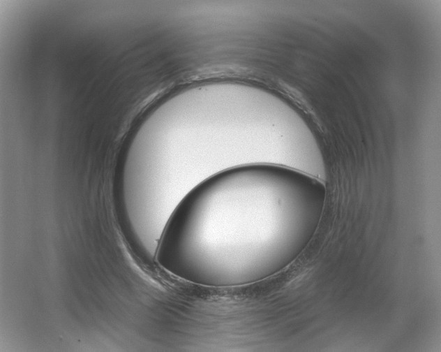 X0000067460538200604070929