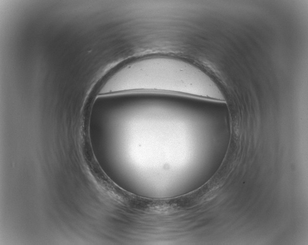 X0000067460540200604070929