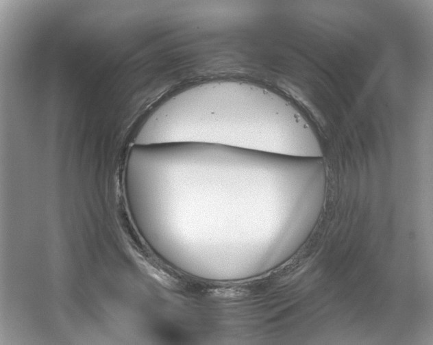 X0000067460541200604070929