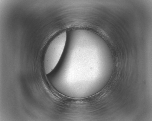 X0000067460542200604070929