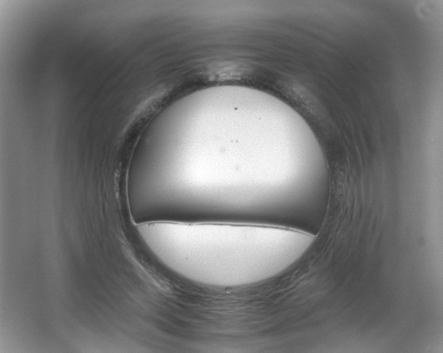 X0000067460543200604070929