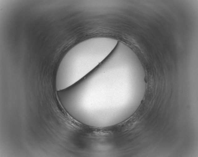 X0000067460545200604070929