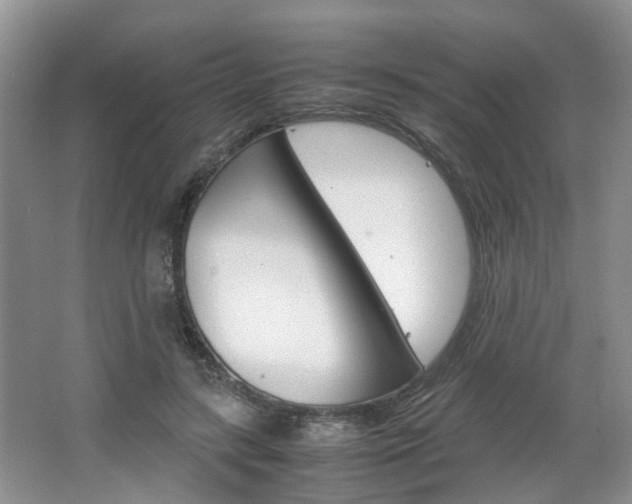 X0000067460547200604070929