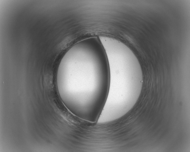 X0000067460548200604070929