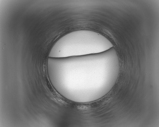 X0000067460549200604070929