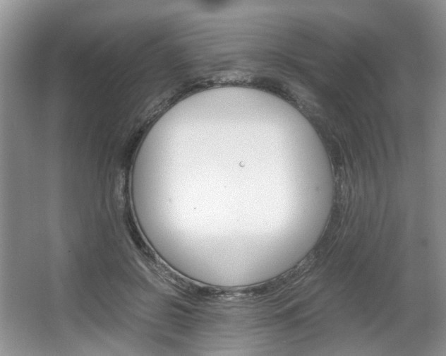 X0000067460550200604070929