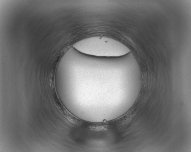 X0000067460553200604070929