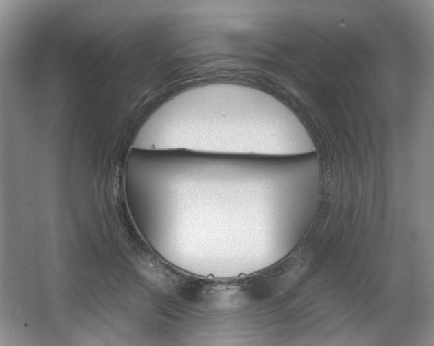 X0000067460554200604070929