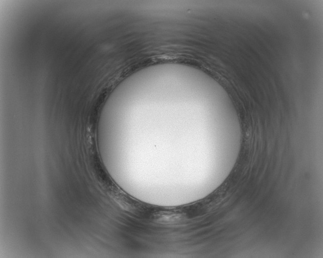 X0000067460555200604070929