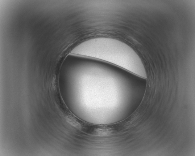 X0000067460556200604070929