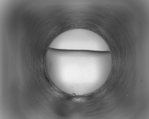 X0000067460557200604070929