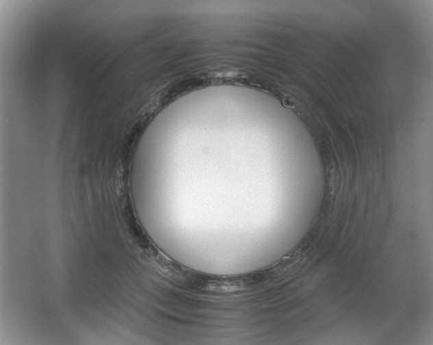 X0000067460559200604070929