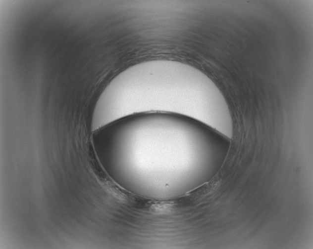 X0000067460560200604070929